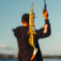 Savage Gear 3D Hybrid Pike 17cm/47g